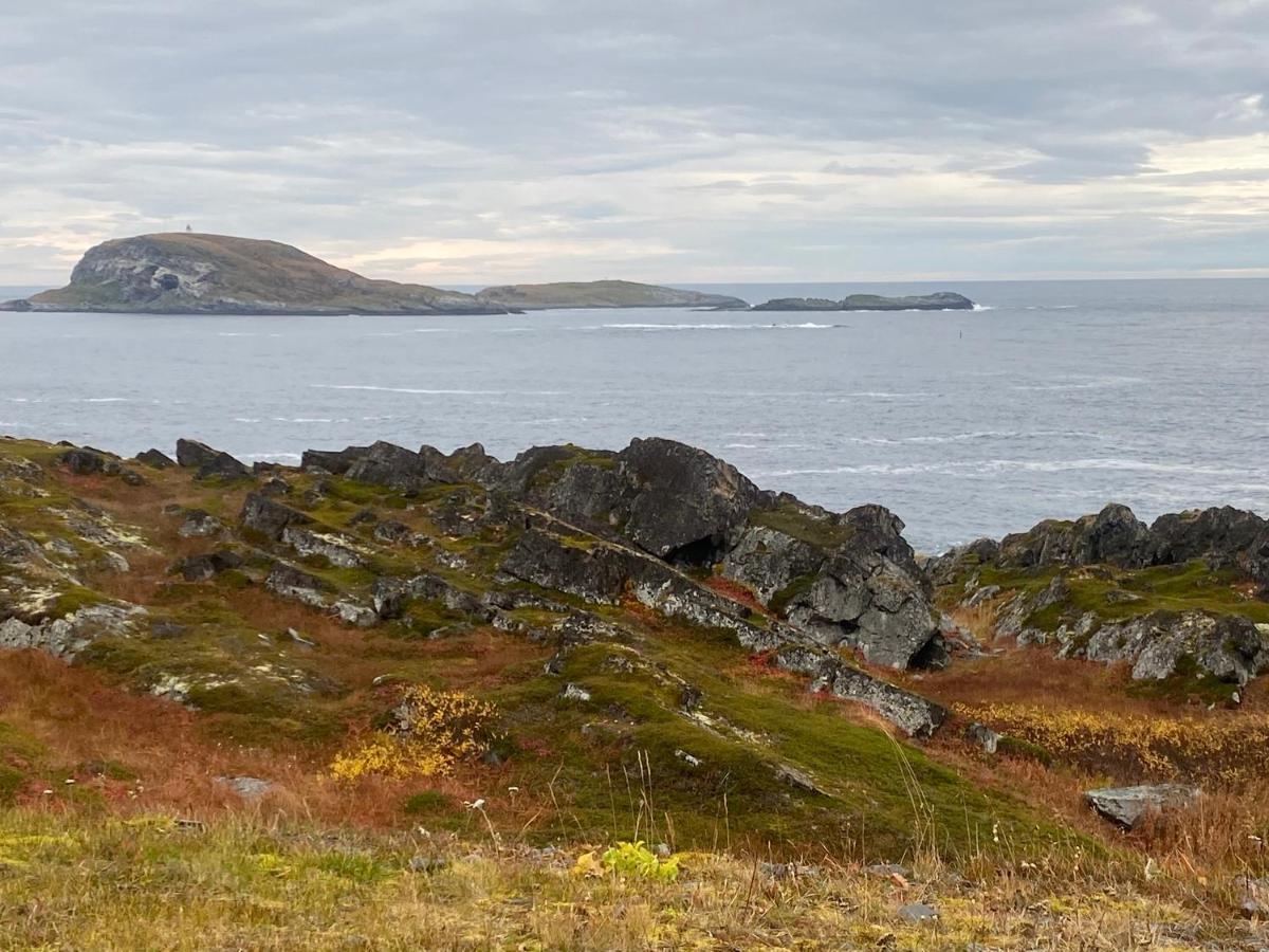 Panorama Vardo Exteriör bild